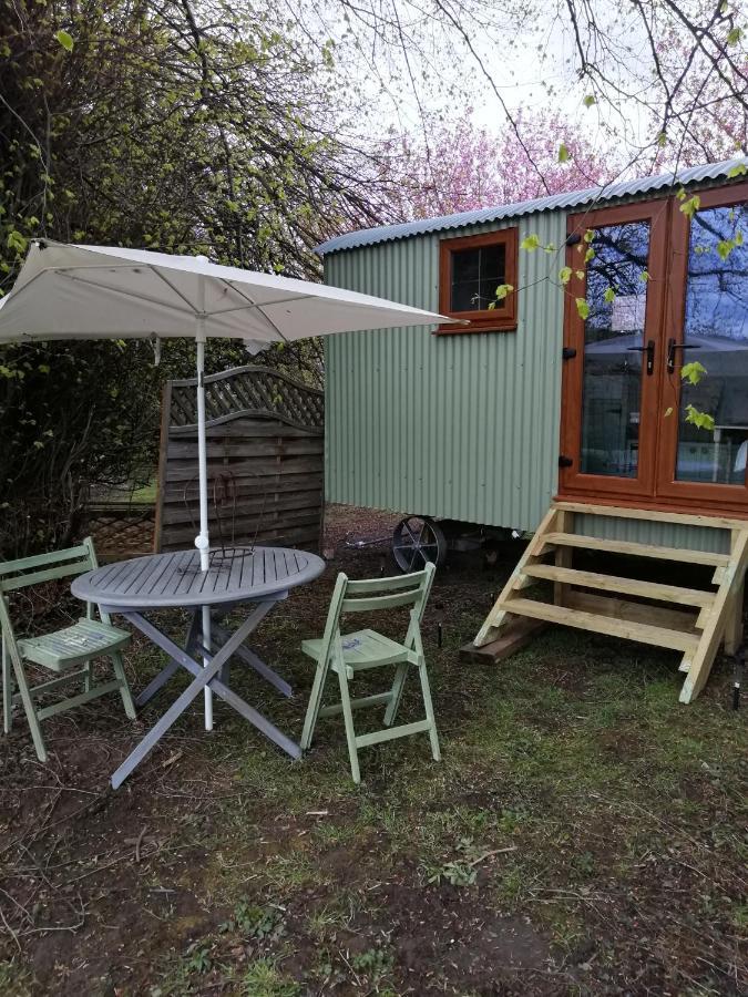 Durham Donkey Rescue Shepherd'S Hut Hotell Eksteriør bilde