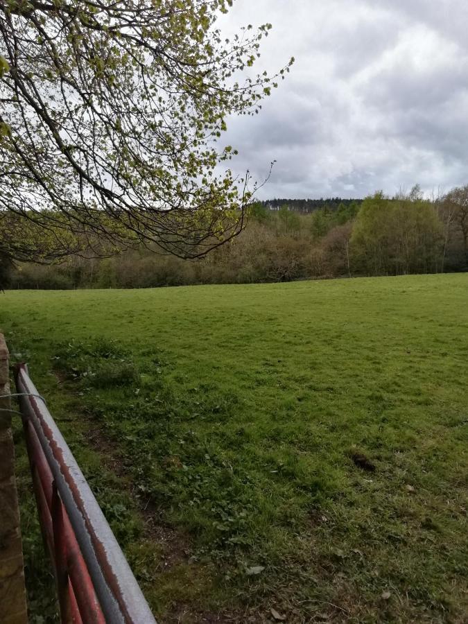 Durham Donkey Rescue Shepherd'S Hut Hotell Eksteriør bilde