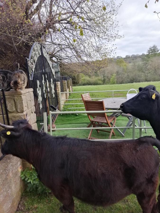 Durham Donkey Rescue Shepherd'S Hut Hotell Eksteriør bilde